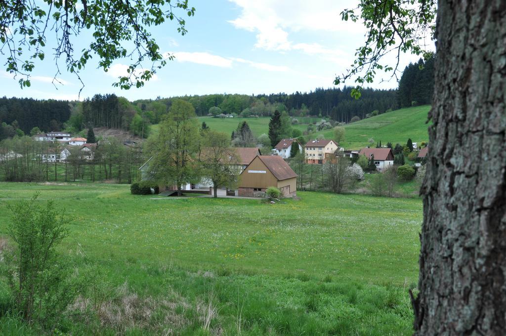 Ferienwohnungen Zur Muehle Mossautal Zewnętrze zdjęcie